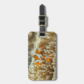 かわいいピエロの魚の荷物のラベル ラゲッジタグ (正面縦)