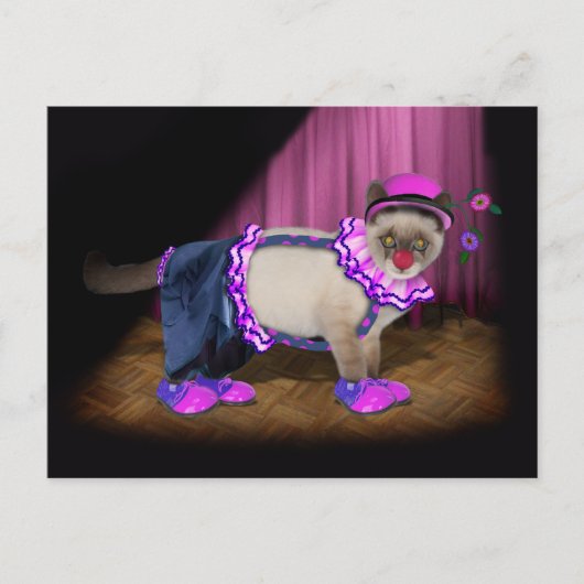 かわいいピエロ子猫 ポストカード (正面)
