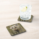 かわいいピグコルクコースター コースター (右側)