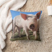 かわいいピグピロー クッション (ブランケット)