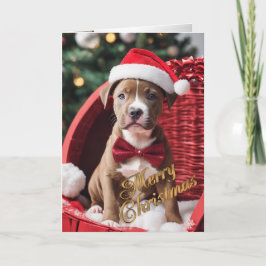 かわいいピットブルテリアのクリスマス子犬がバスケットに入ったクリスマスカード シーズンカード