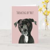 かわいいピットブルテリアドッグ |の考えお客様 カード (黄色い花)