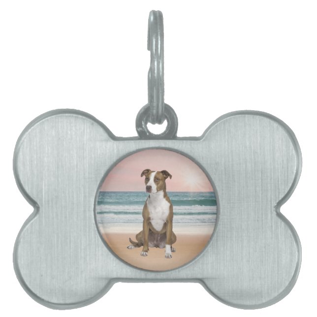 かわいいピットブルドッグ日没とビーチに座る ペットネームタグ (正面)