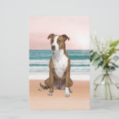 かわいいピットブルドッグ日没とビーチに座る 便箋 (スタンド正面)