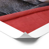 かわいいピットブルパピー ポスター (角)