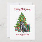 かわいいピットブル犬の家族のクリスマス シーズンカード (正面)