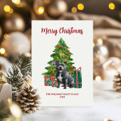 かわいいピットブル犬の家族のクリスマス シーズンカード