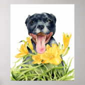 かわいいピットブル犬の黄色い花園 ポスター (正面)