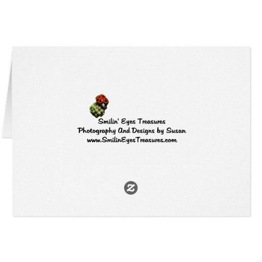 かわいいピンクのクマの写真 (裏面横)