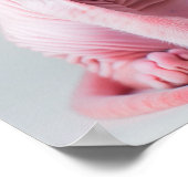 かわいいピンクのスフィンクス猫のポスター ポスター (角)