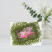 かわいいピンクのポピー写真 ポストカード (スタンド正面)