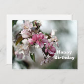かわいいピンクのリンゴの花の写真の誕生日 ポストカード (正面/裏面)