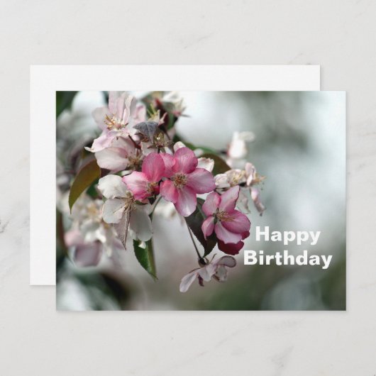 かわいいピンクのリンゴの花の写真の誕生日 ポストカード (正面/裏面)