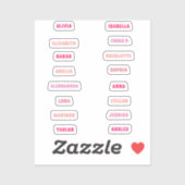 かわいいピンクの女の子カスタムの16名セット余分な小 シール (シート)