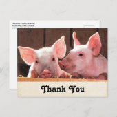 かわいいピンクの子豚の動物写真ありがとう ポストカード (正面/裏面)