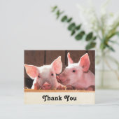かわいいピンクの子豚の動物写真ありがとう ポストカード (スタンド正面)