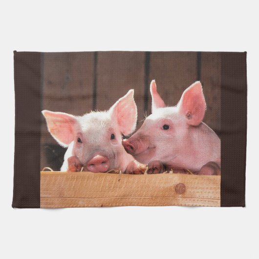 かわいいピンクの子豚の動物写真 キッチンタオル (横)