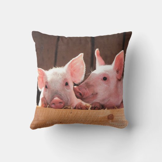 かわいいピンクの子豚の動物写真 クッション (裏面)