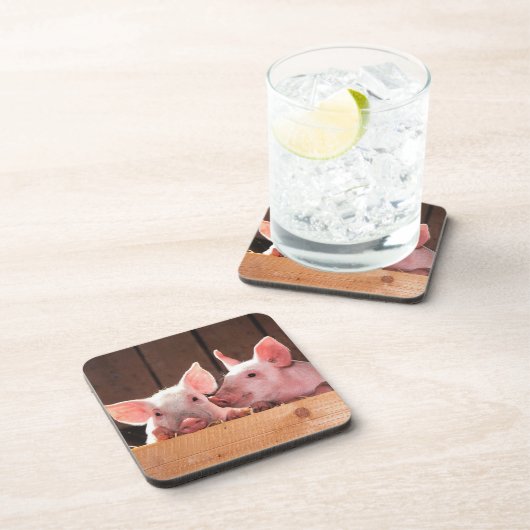 かわいいピンクの子豚の動物写真 コースター (右側)