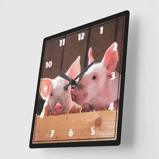 かわいいピンクの子豚の動物写真 スクエア壁時計 (傾斜)