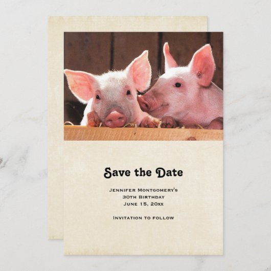 かわいいピンクの子豚の動物写真 セーブザデート (正面/裏面)