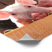 かわいいピンクの子豚の動物写真 ポスター (角)