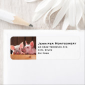 かわいいピンクの子豚の動物写真 ラベル (インサイチュ)