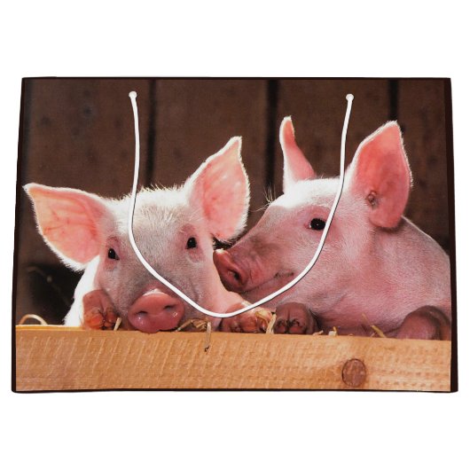 かわいいピンクの子豚の動物写真 ラージペーパーバッグ (正面)