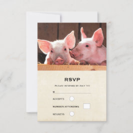 かわいいピンクの子豚の動物写真 出欠カード