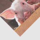 かわいいピンクの子豚の動物写真 薄葉紙 (詳細)