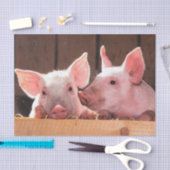 かわいいピンクの子豚の動物写真 薄葉紙 (クラフト)