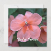 かわいいピンクの庭の花がウェディング、パーティー、 招待状 (裏面)