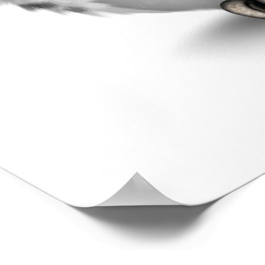 かわいいピンクの死んだ砂糖の日スカルフクロウ白 ポスター (角)