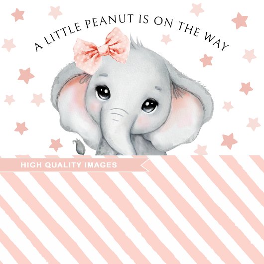 かわいいピンクの水色の象のベビーガールシャワー 招待状
