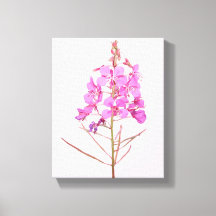 かわいいピンクの花のシンプルなモダンな花卉植物学