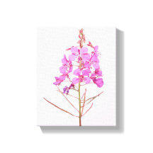 かわいいピンクの花のシンプルなモダンな花卉植物学