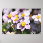 かわいいピンクの花 ポスター (正面)