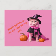 かわいいピンクハロウィーンキャットパステル