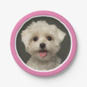 かわいいピンクペットフォト誕生日紙プレート ペーパープレート (正面)