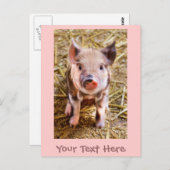 かわいいピンク色のピグレットハガキ ポストカード (正面/裏面)