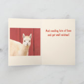 かわいいファジーラマ カード (内部)