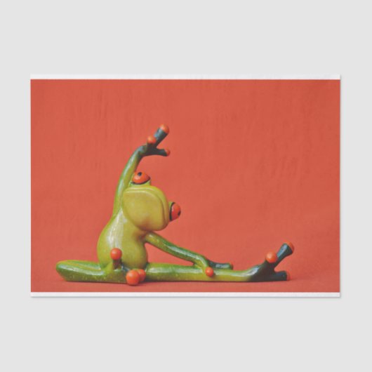 かわいいファニーカエル 薄葉紙 (正面)