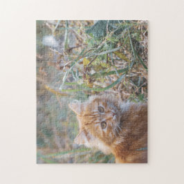 かわいいファンキージンジャーキャットキットン顔グラス ジグソーパズル