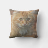 かわいいファンキージンジャーキャットキットン顔 クッション (裏面)