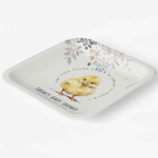 かわいいファームシック水の色のフローラ赤ちゃんシャワー ペーパープレート (傾斜あり)