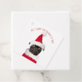 かわいいフェスティバルクリスマスブラックプグサンタ フェイバータグ (インサイチュ)