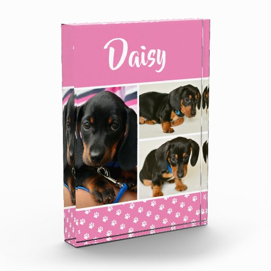 かわいいフォトコラージュのペット犬の名前 フォトブロック (左)