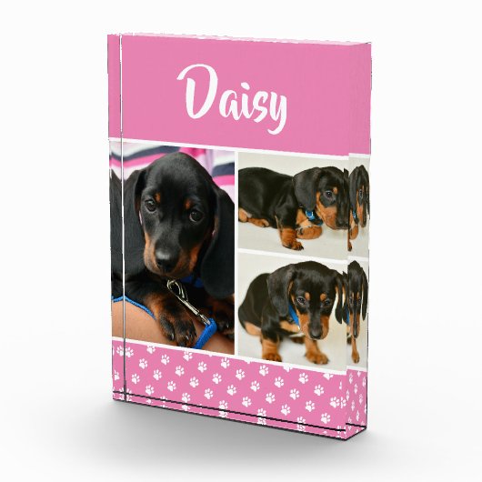 かわいいフォトコラージュのペット犬の名前 フォトブロック (右)