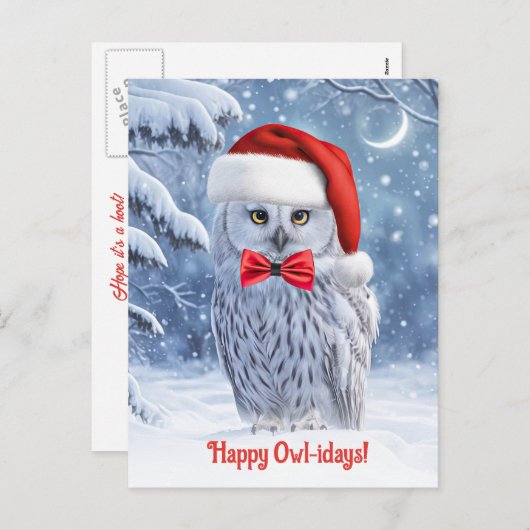 かわいいフクロウと雪でうれしい休日 シーズンポストカード (正面/裏面)