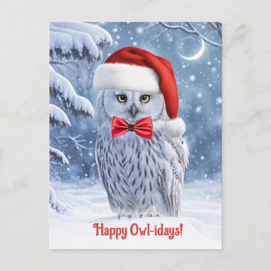かわいいフクロウと雪でうれしい休日 シーズンポストカード (正面)